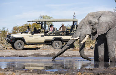 Game Drive