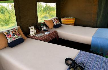 Close up tent interior 
