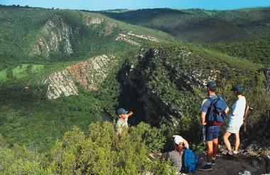 Kariega guided walks