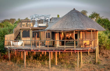 LION CAMP DELUXE SUITE 1