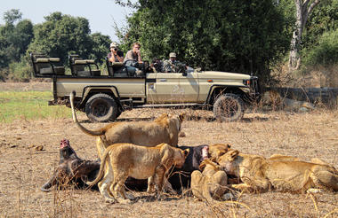 GUIDED GAME DRIVES