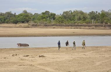 Lion Camp walking safari