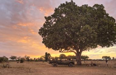 Lion Camp