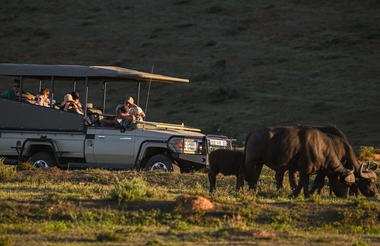 Game Drives