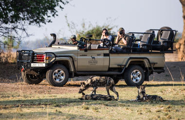 Puku Ridge - game drive with wild dogs