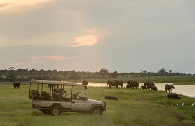 Game Drives in Western Chobe - Muchenje