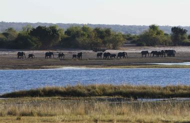 Game drive along the Chobe river with Elephants in the distance
