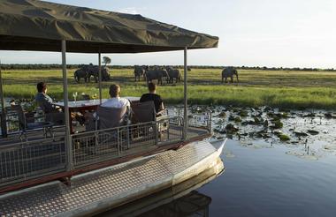 River safari on the Chobe River