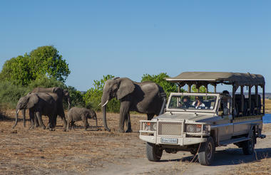 Game Viewing in the Chobe National Park 