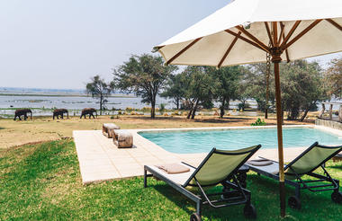 Elephants At Zambezi Deck Pool