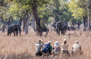 Chikoko walking trails