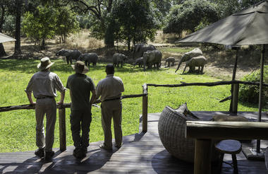 Bilimungwe