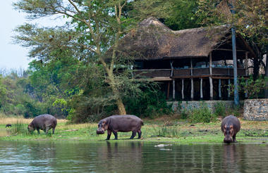 Mvuu Lodge 