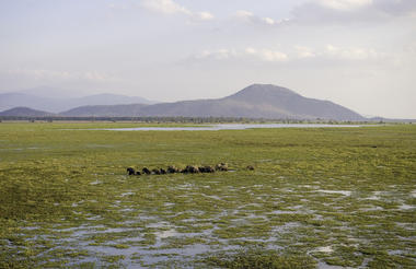 Mvuu Lodge