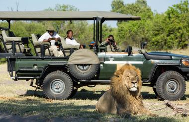 Safari drives