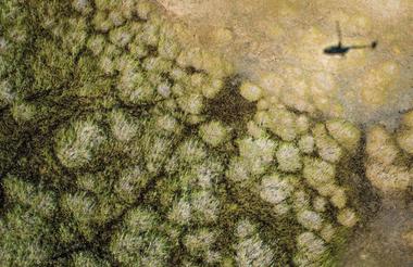 Helicopter scenic flights