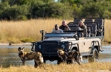 Tubu Tree Camp – Game Drives