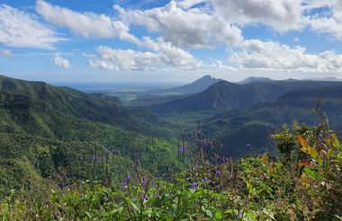 Black River Gorges