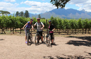Bikes and Wines Stellenbosch
