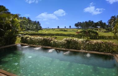 Plunge Pool