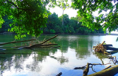 Corcovado National Park 