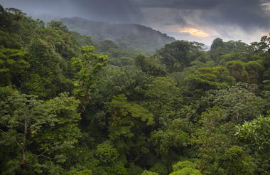 Monteverde Cloud Forest Reserve