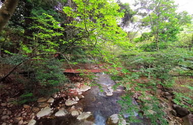 Rincon de la Vieja Volcano National Park