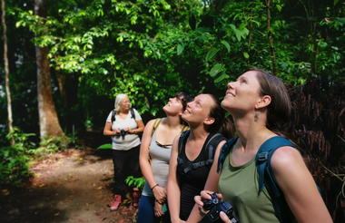 Observation at Corcovado National Park 