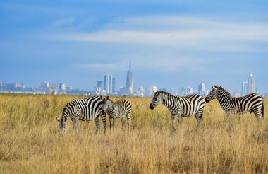 Nairobi nasjonalpark