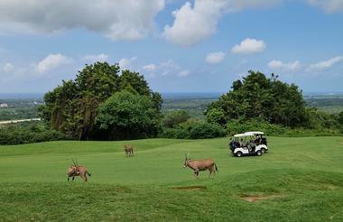 PGA golf course Vipingo Ridge