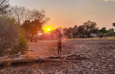 Walking safari South Luangwa 