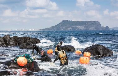 Jeju Haenyeo Divers
