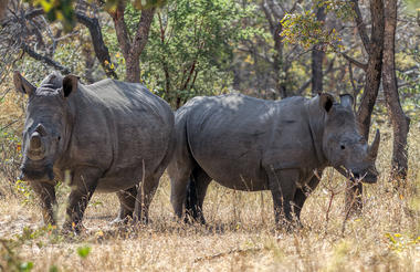 Matopos National Park