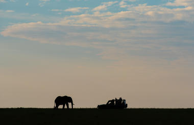Masai Mara game drive