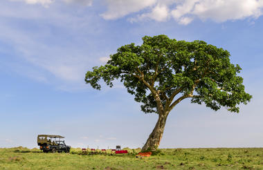 Masai Mara picnic stop