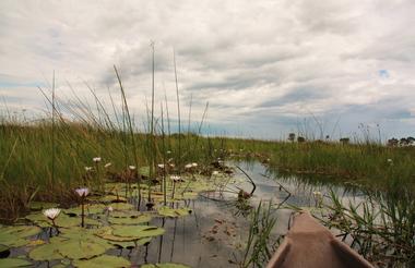 Botswana - Okavango Delta - Mokoro Trip