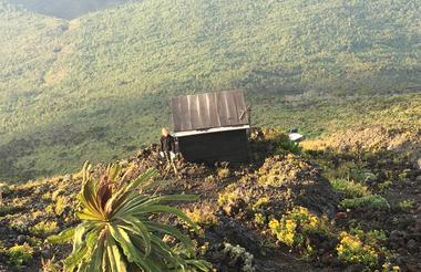 Toilet with a view