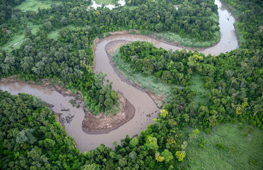 The Mara River