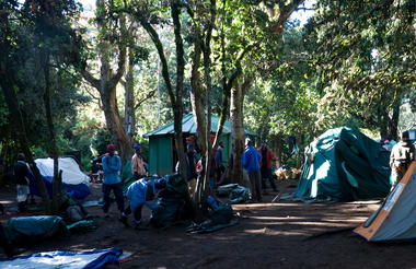 Lemosho Forest Camp