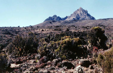 Kikelelwa Camp Mt Kilimanjaro