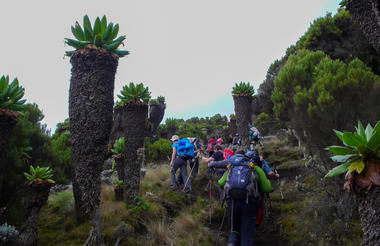Machame Route