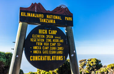 Millenium Camp SafariHQ