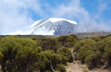 Mweka Campsite SafariHQ