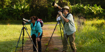 Selva Verde Lodge offers you a birdwaching tour, natures hikes and nigth walks in our primary and secundary forest with incredible local guides. 