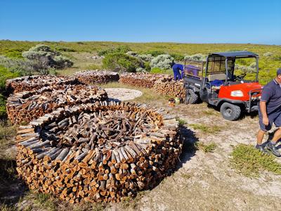 Morukuru-Goodwill-Foundation---Rooikrans-removal-De-Hoop-Nature-Reserve-(3).jpg