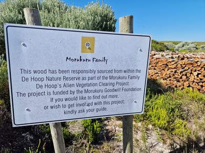 Morukuru-Goodwill-Foundation---Rooikrans-removal-De-Hoop-Nature-Reserve-(2).jpg