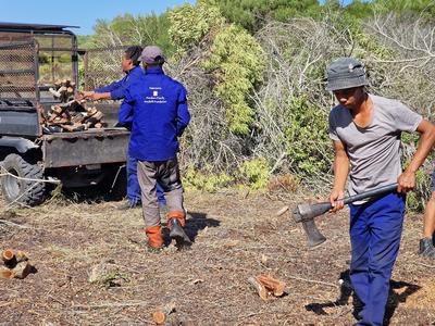 Morukuru-Goodwill-Foundation---Rooikrans-removal-De-Hoop-Nature-Reserve-(4).jpg