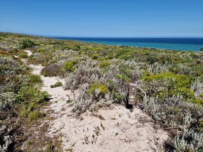 Morukuru-Goodwill-Foundation---Sponsoring-camera-traps-in-De-Hoop-Nature-Reserve-(2).jpg