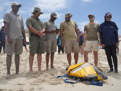 Morukuru-Goodwill-Foundation---Supporting-Turtle-Conservation-(2).JPG