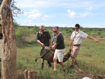 Morukuru-Family-Madikwe---MGWF---Lion-conservation-(5).JPG